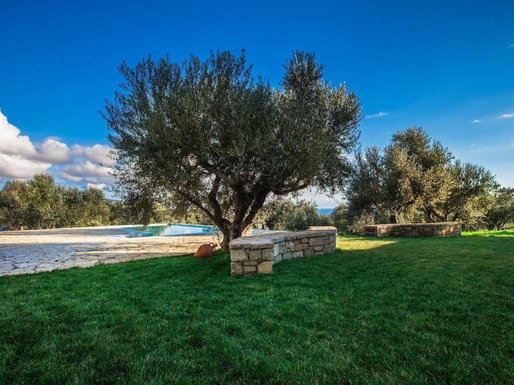 Abelia Luxurious Villas Finikounta Buitenkant foto