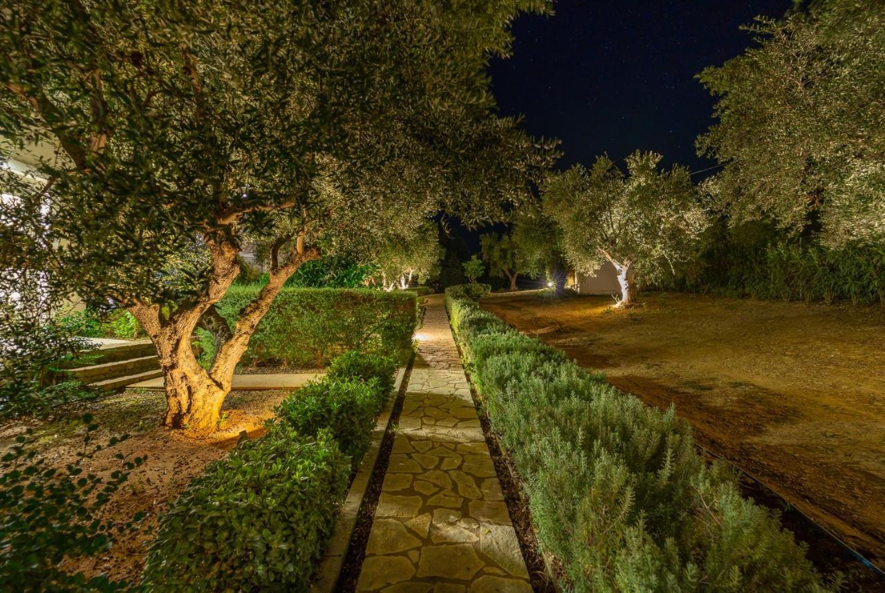 Abelia Luxurious Villas Finikounta Buitenkant foto
