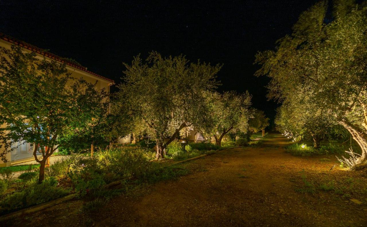 Abelia Luxurious Villas Finikounta Buitenkant foto