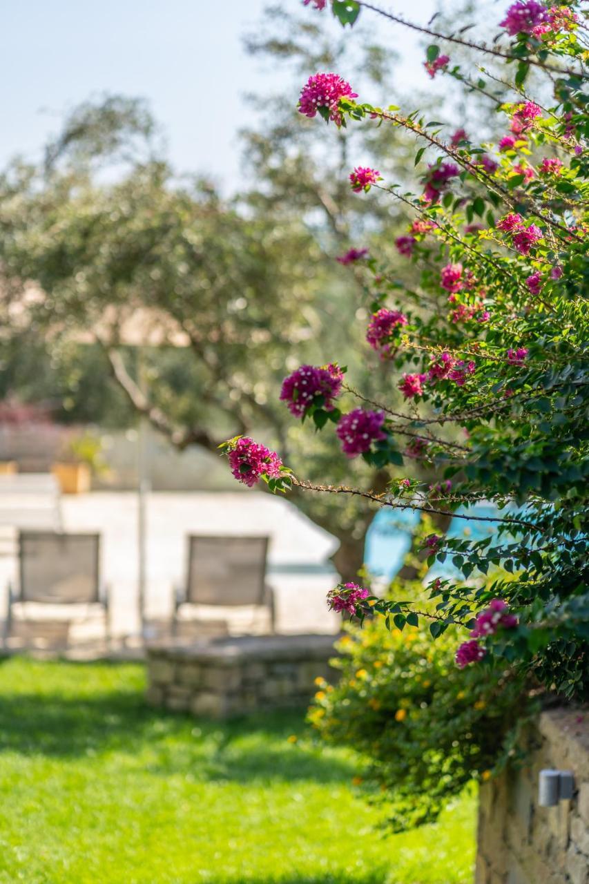 Abelia Luxurious Villas Finikounta Buitenkant foto